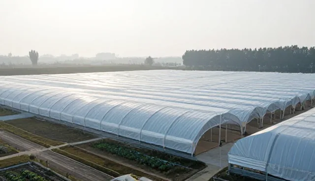 技术转让中的定制化解决方案实践与常见问题解析