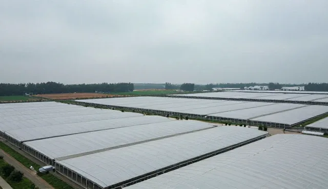 技术转让包性能优化的适用条件与实施策略